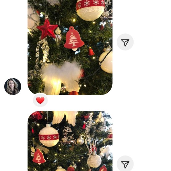 Screenshot_20231119_133824_Instagram